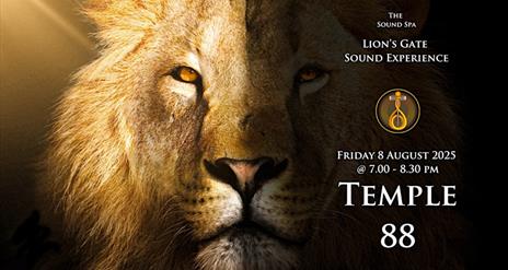 Image is of a lion advertising a sound bath at the sound healing spa in Lisburn