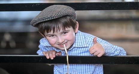 Young boy leaning over fence