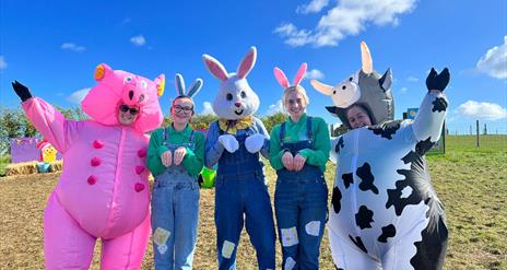 Easter Bunny with inflatable cow and inflatable pig at Streamvale Farm