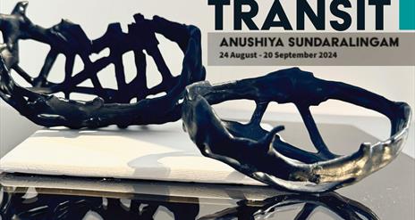 Poster for Transit Exhibition