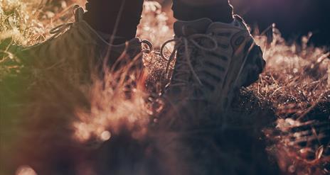 An image of a person wearing walking boots