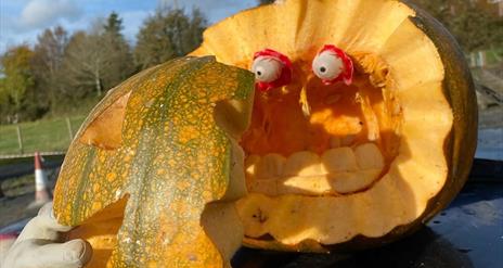 Pumpkin carving at Laganvale Farm