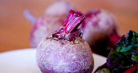 Picture of a purple turnip on a plate