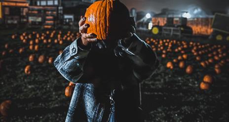 Woman holding up pumpkin in dark pumpkin patch at Streamvale Farm