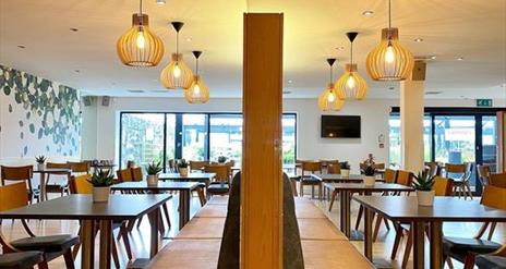 Image shows seating area of the Maple Cafe it is a mixture of bench seating and tables & chairs in dark wood with a row of modern overhead ceiling lig