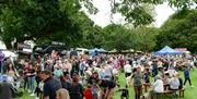 Large crowd at Moira Speciality Food Fair with market stalls, picnic tables, and trees in a park setting