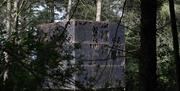 An image of Unit of life, which is a cube showing geometrical designs throughout, this forms part of the digital sculpture trail.