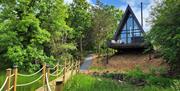 A luxury A-frame lodge set in peaceful woodland surroundings, overlooking a pond with a wooden rope bridge leading through the trees.