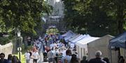 Image of Royal Hillsborough Farmers Market down The Dark Walk towards Hillsborough Fort