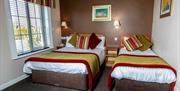 Image shows room with a double and single bed with window