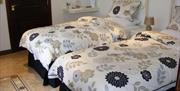Shows image of twin beds
