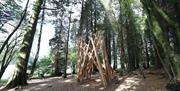An image of Cybernest which sits within the forest beside the lake and forms part of the Digital Sculpture Trail.