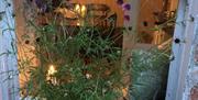 Image shows plants on window ledge and view of inside property