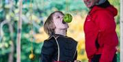 Young child bobbing for apple