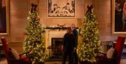 Couple looking at art on a wall in Hillsborough Castle with Christmas trees
