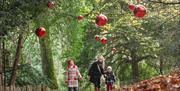 Family walking through the gardens at Hillsborough Castle at Christmas time with baubles hanging from the trees