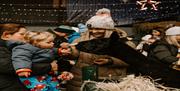 Image of children and parents feeding the reindeers.