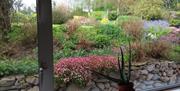 Image is of garden view from kitchen window