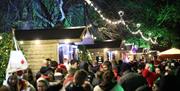 Image is of people enjoying the Christmas Market in Lisburn