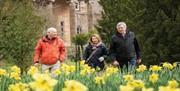 Image shows 3 people walking through the daffodils at Hillsborough Gardens.
