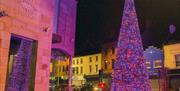 The Christmas Tree pictured in front of the Irish Linen Centre and Lisburn Museum