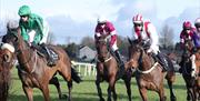 Four horses with jockeys racing around the track