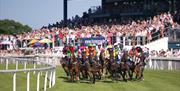 Horse racing at the Down Royal Racecourse with horses running along the track with spectators in background