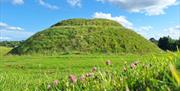 Dromore Motte