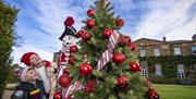 wo children enjoying festive Christmas decorations beside a tree adorned with red baubles, candy-cane ribbons and a nutcracker, with Hillsborough Cast