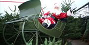 Santa on Sleigh surrounded by Christmas trees
