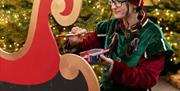 Elf painting sleigh