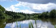 Hillsborough Lake