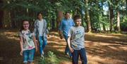 Family walking through the tress at Hillsborough Forest