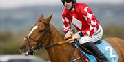 Jockey riding horse wearing red and white top