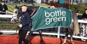 Picture of horse wearing being led around the ring