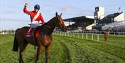 Jockey on horse waving right arm in the air