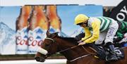 Jockey on race horse with a Coors sign in background