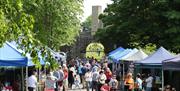 Visitors at stalls, Hillsborough Fort in the background and trees.