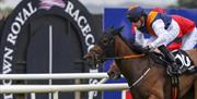 Sign for Down Royal Racetrack with jockey on horse