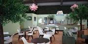 Cafe area should tables and chairs in circular format and comfortable seating
