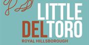 little del toro logo