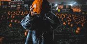 Woman holding up pumpkin in dark pumpkin patch at Streamvale Farm