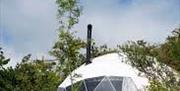 glass dome accomodation