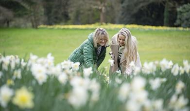 Mother's Day at Hillsborough Castle