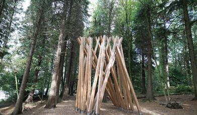 Cybernest sculpture in Hillsborough Forest Park