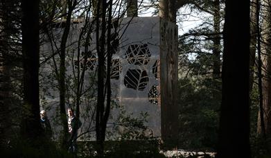 The Cube sculpture in Hillsborough Forest Park