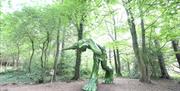 An image of the Big Foot Sculpture located within Hillsborough Forest
