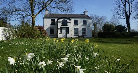Image shows front of property with large lawn and daffodils in the foreground