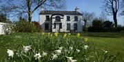 Image shows front of property with large lawn and daffodils in the foreground