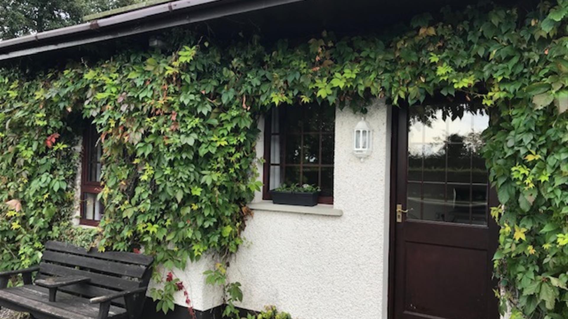 Image shows front of property covered in ivy